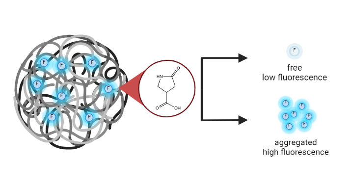 Chromophore