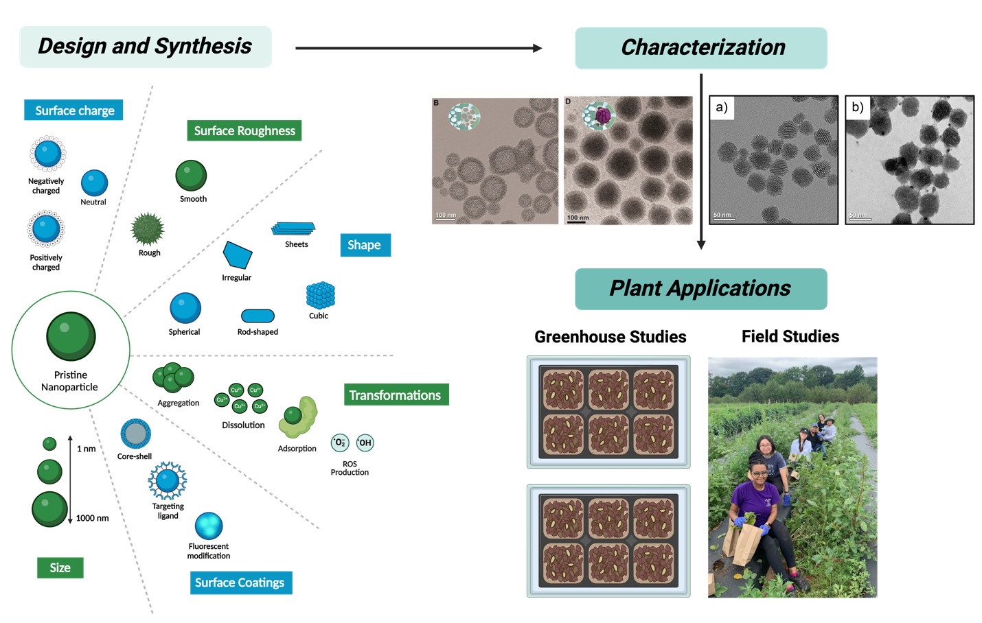 Nanoagriculture